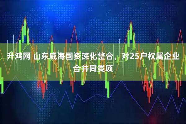 升鸿网 山东威海国资深化整合，对25户权属企业合并同类项