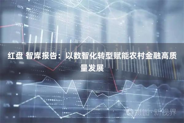 红盘 智库报告:以数智化转型赋能农村金融高质量发展